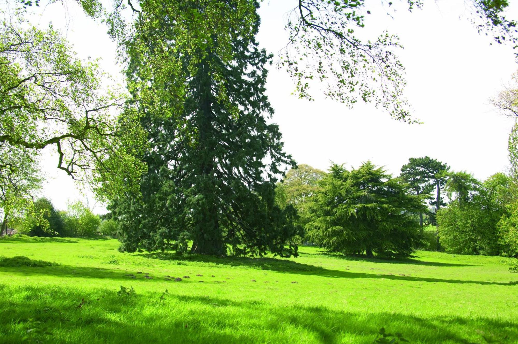 Woodland Grange Hotel Lillington  Eksteriør billede