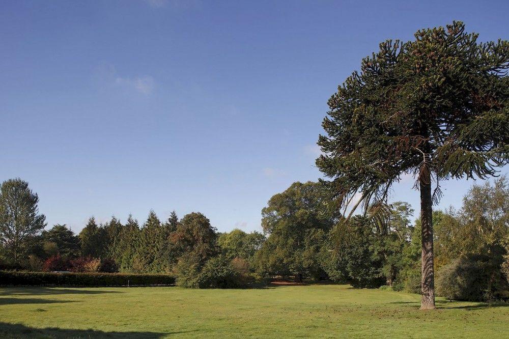 Woodland Grange Hotel Lillington  Eksteriør billede